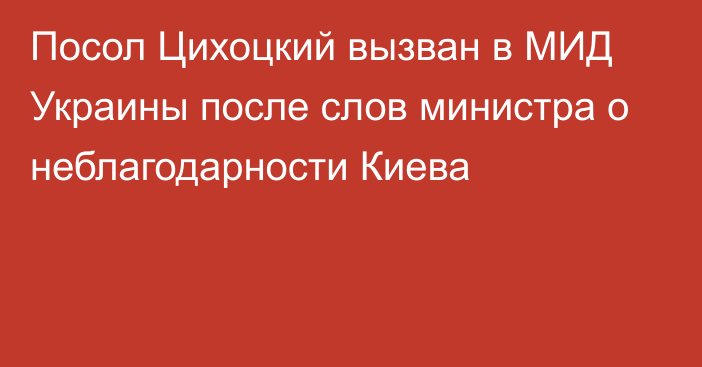 Посол Цихоцкий вызван в МИД Украины после слов министра о неблагодарности Киева