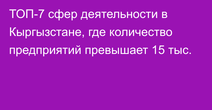 ТОП-7 сфер деятельности в Кыргызстане, где количество предприятий превышает 15 тыс.