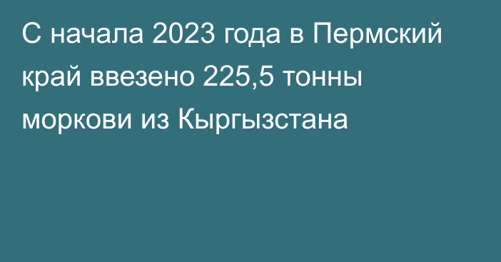 С начала 2023 года в Пермский край ввезено 225,5 тонны моркови из Кыргызстана