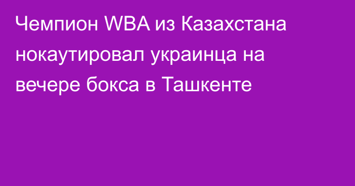 Чемпион WBA из Казахстана нокаутировал украинца на вечере бокса в Ташкенте