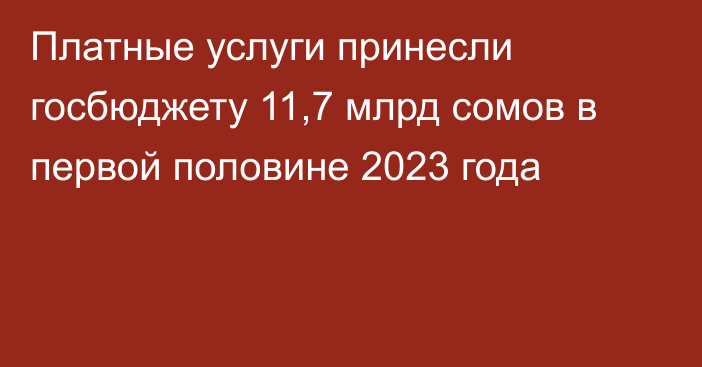 Платные услуги принесли госбюджету 11,7 млрд сомов в первой половине 2023 года