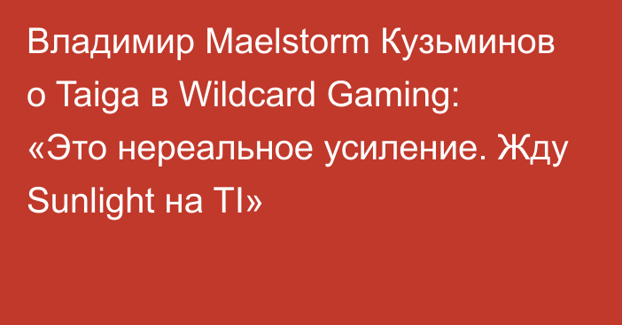 Владимир Maelstorm Кузьминов о Taiga в Wildcard Gaming: «Это нереальное усиление. Жду Sunlight на TI»