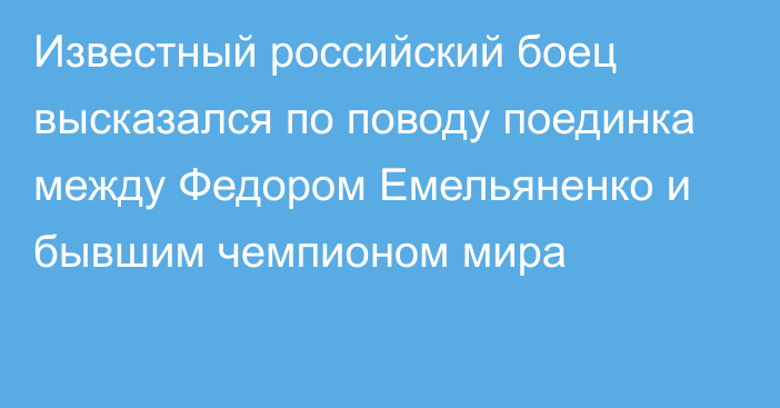 Известный российский боец высказался по поводу поединка между Федором Емельяненко и бывшим чемпионом мира
