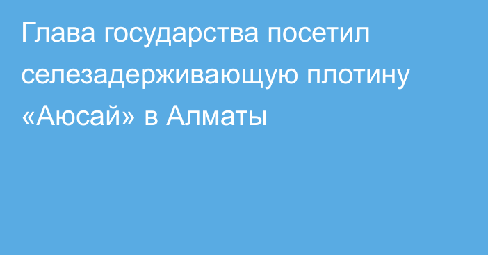Глава государства посетил селезадерживающую плотину «Аюсай» в Алматы