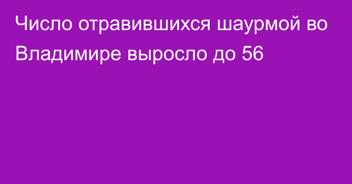 Число отравившихся шаурмой во Владимире выросло до 56