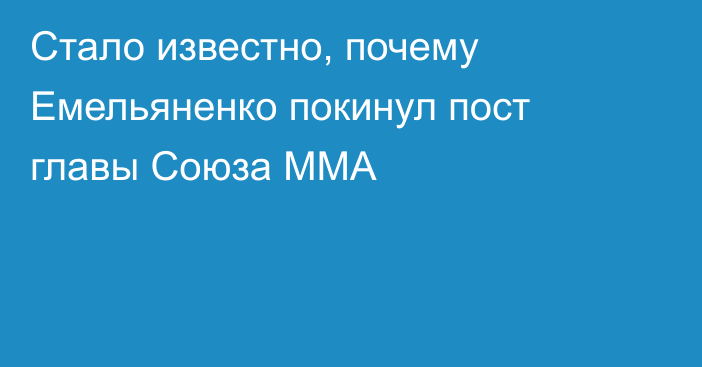 Стало известно, почему Емельяненко покинул пост главы Союза ММА