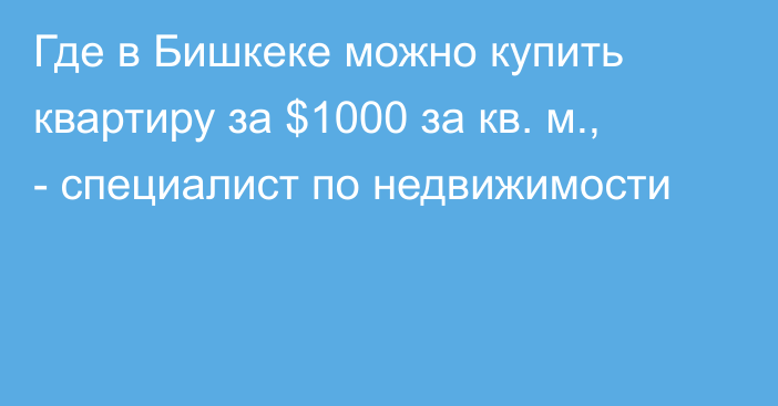Где в Бишкеке можно купить квартиру за $1000 за кв. м., - специалист по недвижимости