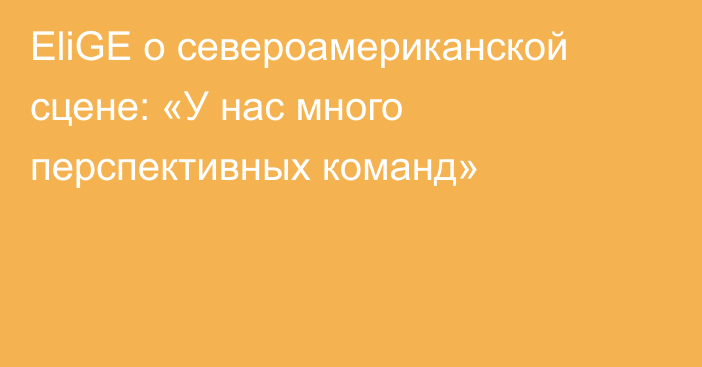 EliGE о североамериканской сцене: «У нас много перспективных команд»