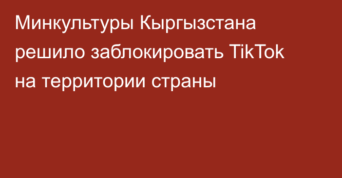 Минкультуры Кыргызстана решило заблокировать TikTok на территории страны