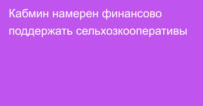 Кабмин намерен финансово поддержать сельхозкооперативы