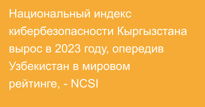 Национальный индекс кибербезопасности Кыргызстана вырос в 2023 году, опередив Узбекистан в мировом рейтинге, - NCSI