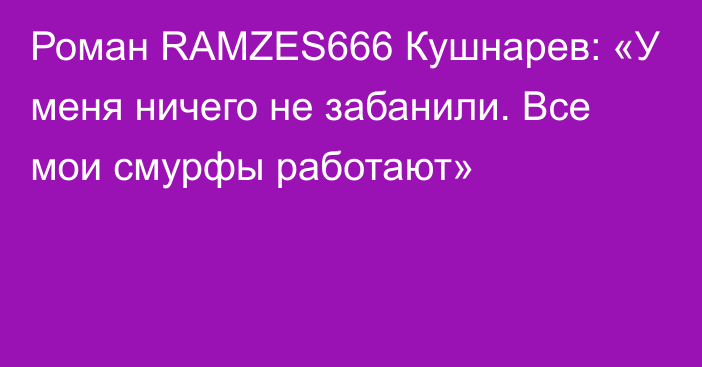 Роман RAMZES666 Кушнарев: «У меня ничего не забанили. Все мои смурфы работают»