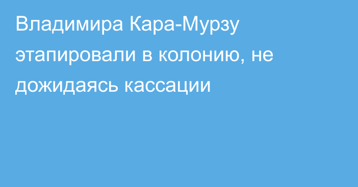 Владимира Кара-Мурзу этапировали в колонию, не дожидаясь кассации