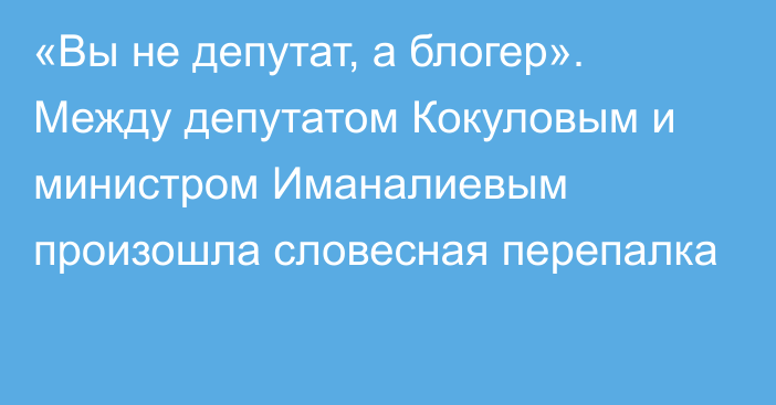 «Вы не депутат, а блогер». Между депутатом Кокуловым и министром Иманалиевым произошла словесная перепалка