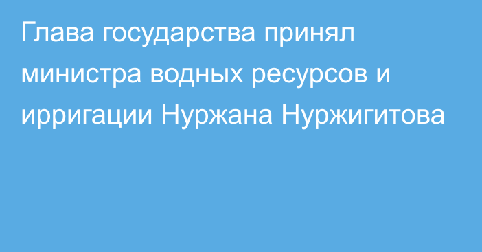 Глава государства принял министра водных ресурсов и ирригации Нуржана Нуржигитова