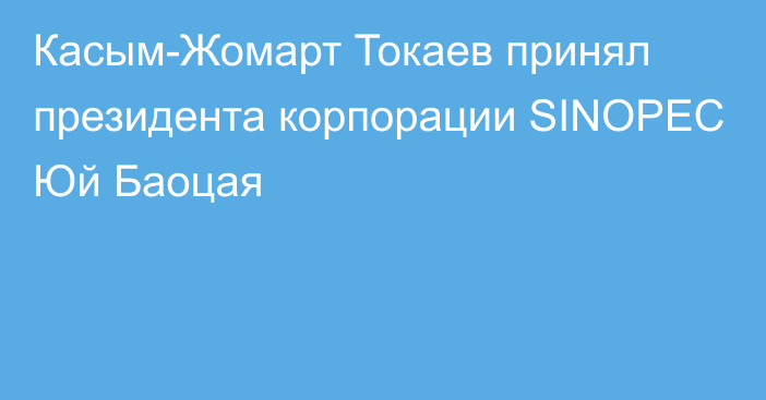 Касым-Жомарт Токаев принял президента корпорации SINOPEC Юй Баоцая