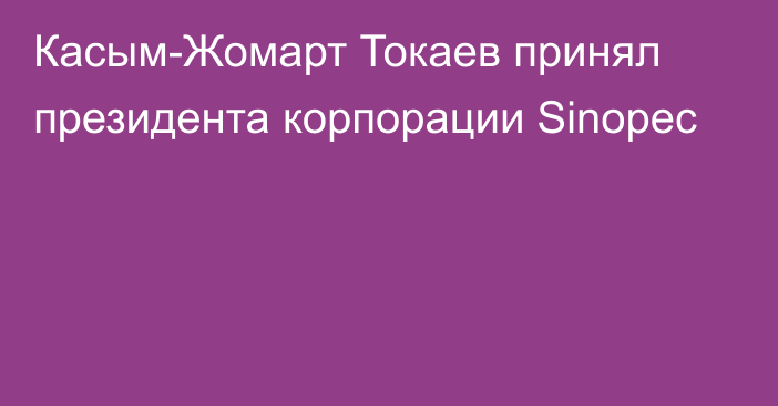 Касым-Жомарт Токаев принял президента корпорации Sinopec