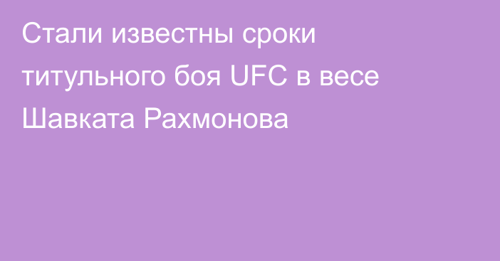 Стали известны сроки титульного боя UFC в весе Шавката Рахмонова