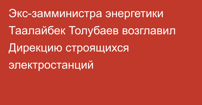 Экс-замминистра энергетики Таалайбек Толубаев возглавил Дирекцию строящихся электростанций