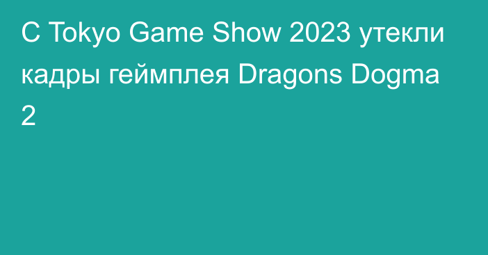 С Tokyo Game Show 2023 утекли кадры геймплея Dragons Dogma 2