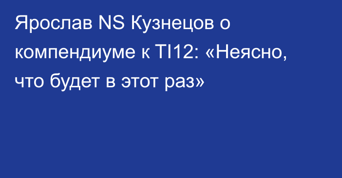 Ярослав NS Кузнецов о компендиуме к TI12: «Неясно, что будет в этот раз»