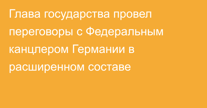 Глава государства провел переговоры с Федеральным канцлером Германии в расширенном составе