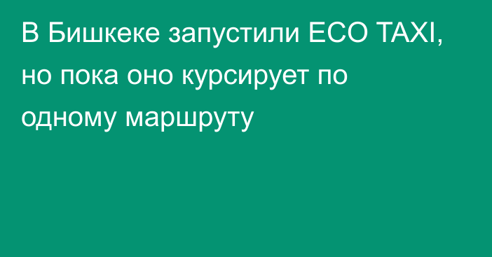 В Бишкеке запустили ECO TAXI, но пока оно курсирует по одному маршруту