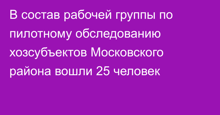 В состав рабочей группы по пилотному обследованию хозсубъектов Московского района вошли 25 человек