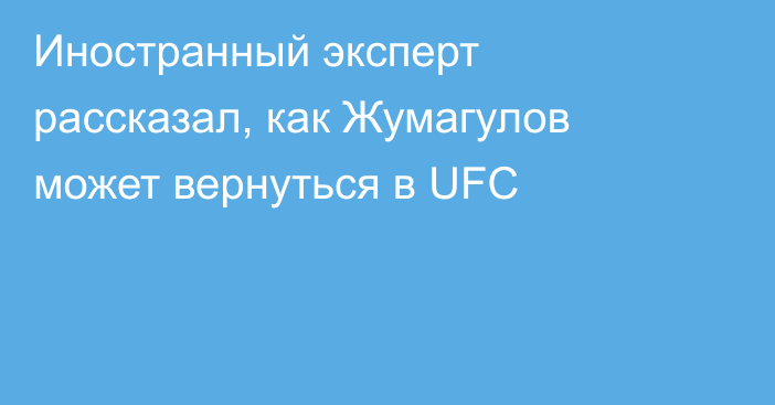 Иностранный эксперт рассказал, как Жумагулов может вернуться в UFC
