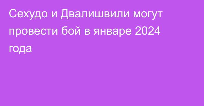 Сехудо и Двалишвили могут провести бой в январе 2024 года