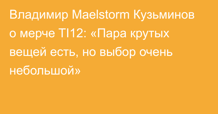 Владимир Maelstorm Кузьминов о мерче TI12: «Пара крутых вещей есть, но выбор очень небольшой»