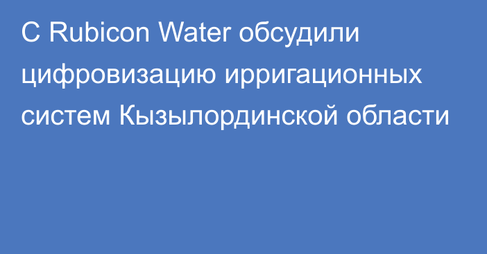 С Rubicon Water обсудили цифровизацию ирригационных систем Кызылординской области