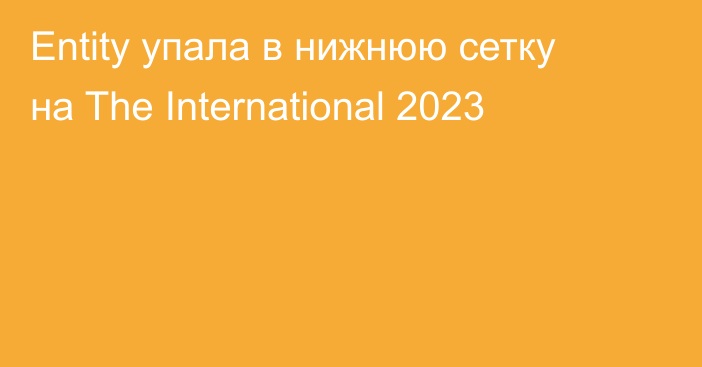 Entity упала в нижнюю сетку на The International 2023