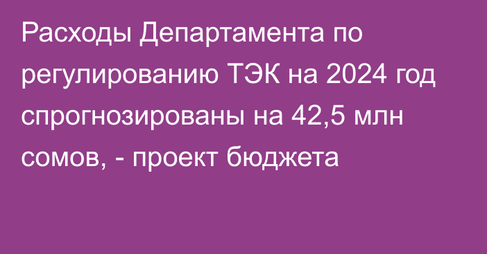 Расходы Департамента по регулированию ТЭК на 2024 год спрогнозированы на 42,5 млн сомов, - проект бюджета