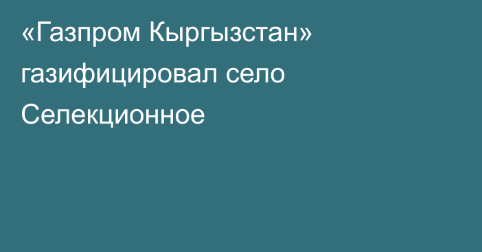 «Газпром Кыргызстан» газифицировал село Селекционное