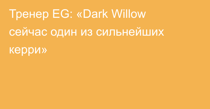 Тренер EG: «Dark Willow сейчас один из сильнейших керри»