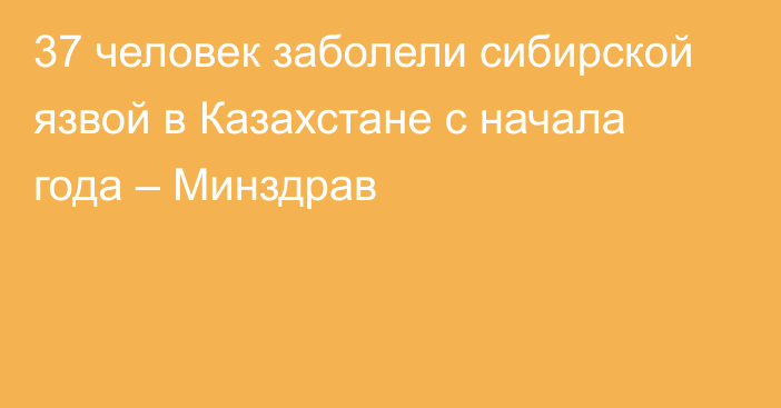37 человек заболели сибирской язвой в Казахстане с начала года – Минздрав