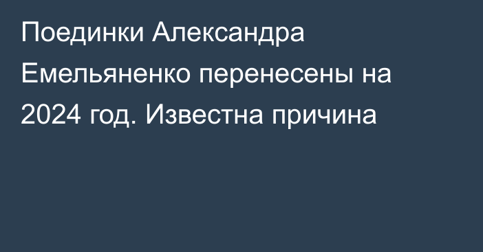 Поединки Александра Емельяненко перенесены на 2024 год. Известна причина