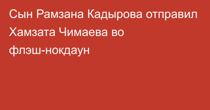 Сын Рамзана Кадырова отправил Хамзата Чимаева во флэш-нокдаун