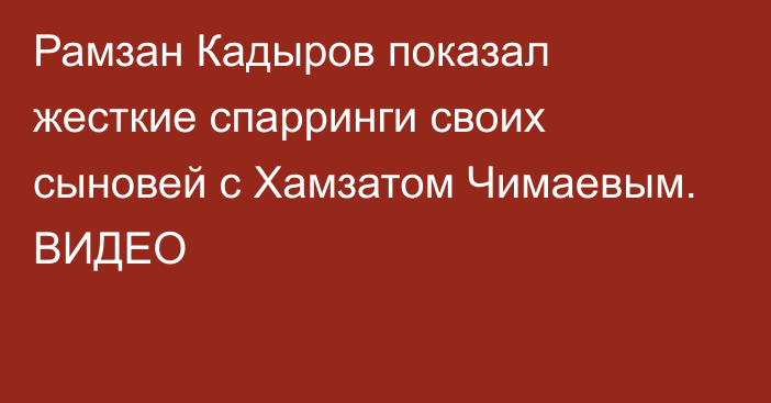 Рамзан Кадыров показал жесткие спарринги своих сыновей с Хамзатом Чимаевым. ВИДЕО