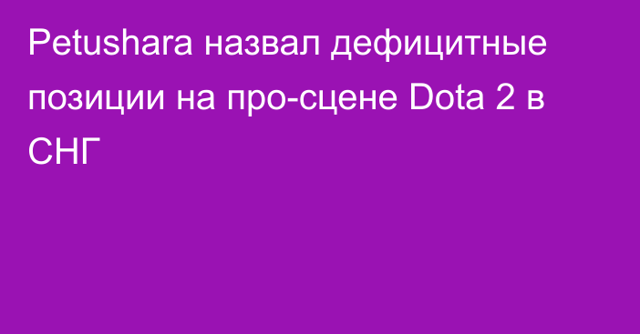 Petushara назвал дефицитные позиции на про-сцене Dota 2 в СНГ