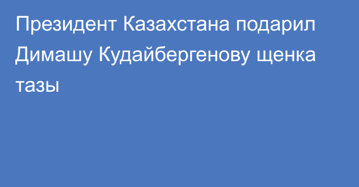 Президент Казахстана подарил Димашу Кудайбергенову щенка тазы
