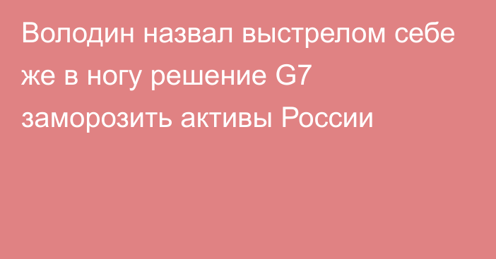 Володин назвал выстрелом себе же в ногу решение G7 заморозить активы России