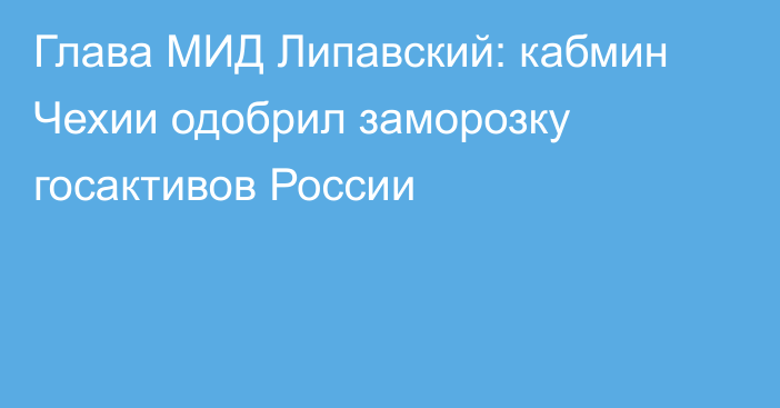 Глава МИД Липавский: кабмин Чехии одобрил заморозку госактивов России