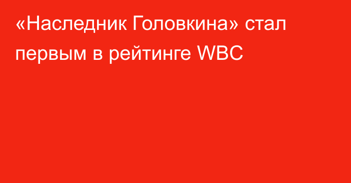«Наследник Головкина» стал первым в рейтинге WBC