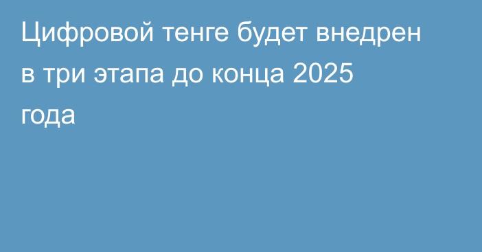 Цифровой тенге будет внедрен в три этапа до конца 2025 года
