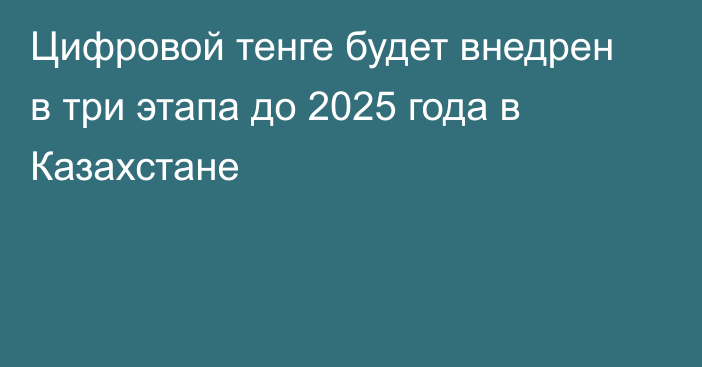 Цифровой тенге будет внедрен в три этапа до 2025 года в Казахстане