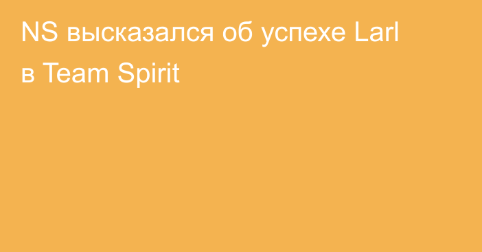 NS высказался об успехе Larl в Team Spirit