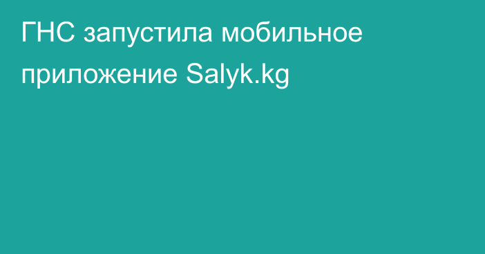 ГНС запустила мобильное приложение Salyk.kg