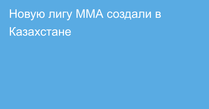 Новую лигу ММА создали в Казахстане